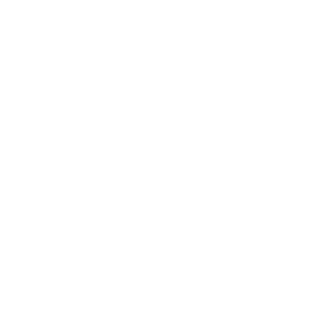 Voice 02